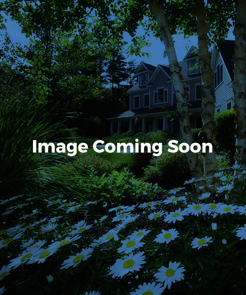 PTG_Web_Assets_Images_Headshots_LisbethPlaceholder